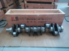 Crankshaft 3965010