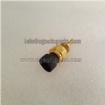 Water Temperature Sensor 4954905