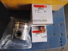 Piston Kit 4089461