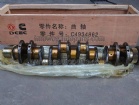 Crankshaft 4934862