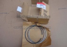 Piston Ring 2881682