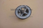 Thermostat 2882757