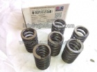 Valve Spring 4936076