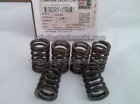 Valve Spring 4936080