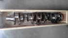 Crankshaft D5600621151