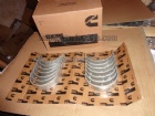 Cummins Main Bearing 4025120