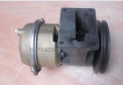 Water Pump 3655857