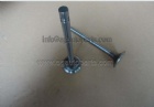 Intake Valve 3803512