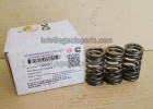 Valve Spring 3900276