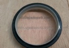 Oil Seal 3934486