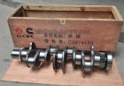 Crankshaft 3974539