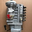 Fuel Pump 4941011