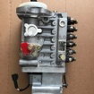 Fuel Pump 4941011