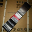 V Ribbed Belt 3002202