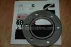 Oil Seal 4962755