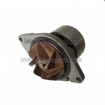 Water Pump 2881804