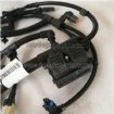 Wiring Harness 5271507