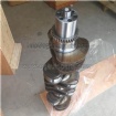 Crankshaft 2830476