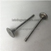 Intake Valve 207241