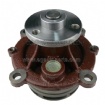 Water Pump 04258805 BFM1013