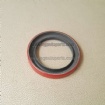 Oil Seal 200307