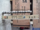 Cummins Camshaft C3929885