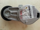 Renault Belt Tensioner D5010412956