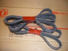 Renault Belt D5010477334