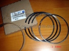 Cummins Piston Rings 4089810