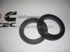 Cummins Oil Seal 4890832