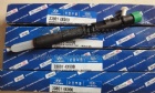 DELPHI Injector EJBR03001D/33800-4X900/33801-4X900