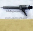 Bosch Injector 0445110250