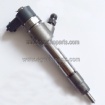 Bosch Injector 0445110318