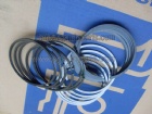 Piston Ring Set 4089258